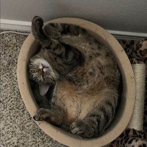 Meet your Posher, Garrett